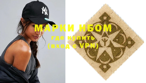 индика Богородицк