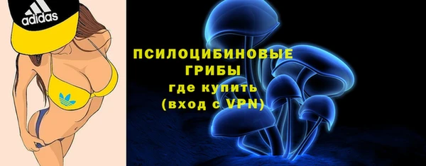 стафф Няндома