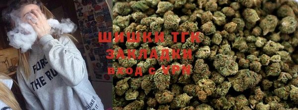 винт Гусь-Хрустальный