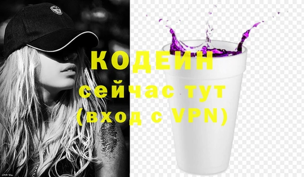 винт Гусь-Хрустальный
