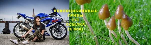 стафф Няндома