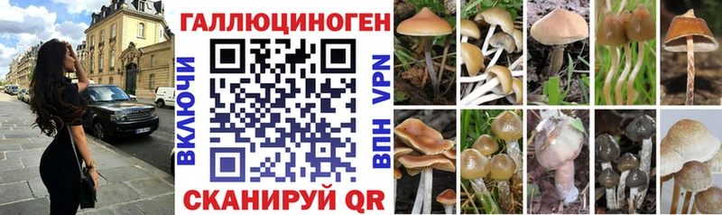 Галлюциногенные грибы Magic Shrooms  Шелехов 